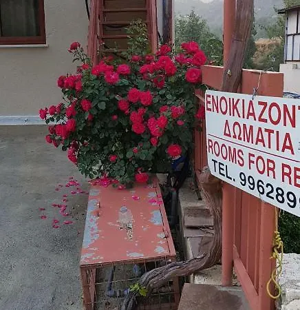 Sz Apartman Trimíklini