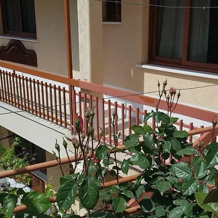 Sz Apartman *